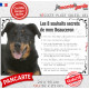 Beauceron noir et feu, Plaque photo "Les 8 Souhaits Secrets" commandements éducation résiste intempéries