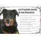 Beauceron noir et feu, Plaque photo "Les 8 Souhaits Secrets" commandements éducation résiste intempéries