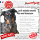 Beauceron arlequin, Plaque photo "Les 8 Souhaits Secrets" commandements éducation résiste intempéries