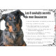 Beauceron arlequin, Plaque photo "Les 8 Souhaits Secrets" commandements éducation résiste intempéries