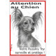Plaque portail verticale "Attention au Chien, notre Russkiy Toy surveille et protège" dessin stylisé, résiste intempéries