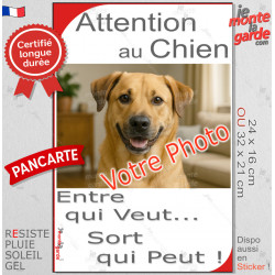 Photo Personnalisable, plaque humour "Attention au Chien, Entre qui Veut, Sort qui Peut" 2 tailles 3S