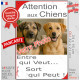 Photo Personnalisable, plaque portail humour PLURIEL "Attention aux Chiens, Entre qui Veut, Sort qui Peut" avec votre chien
