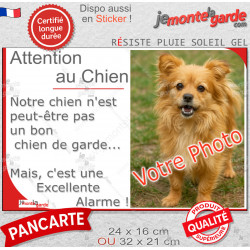 Photo Personnalisable, plaque portail humour "Attention au Chien pas bon chien de garde, mais Excellente Alarme" photo