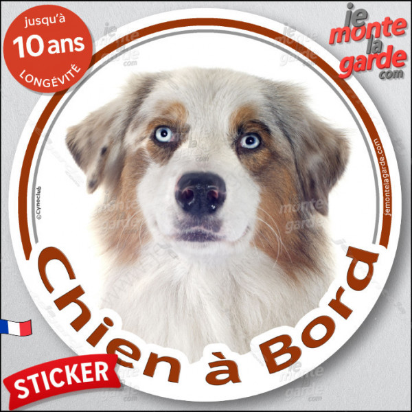 Berger Australien Blanc et Rouge Merle Tête, sticker autocollant rond "Chien à Bord" vitre voiture Aussie