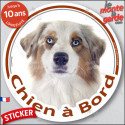 Berger Australien rouge merle, sticker voiture rond "Chien à Bord" 2 tailles D