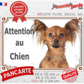 Russkiy Toy fauve marron, plaque portail "Attention au Chien" photo Petit Chien Russe résiste intempéries