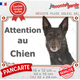 Kelpie Australien brun chocolat, plaque portai extérieure "Attention au Chien" photo Kelpy résiste intempéries