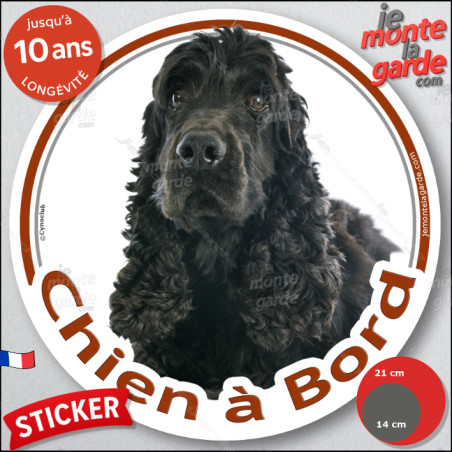 Cocker Anglais noir, sticker voiture photo "Chien à Bord" 2 tailles E - 1