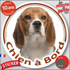 Beagle tricolore Tête, sticker autocollant rond "Chien à Bord" Disque adhésif vitre voiture photo, résiste pluie soleil gel, idé