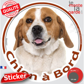 Beagle blanc et fauve Tête, sticker rond "Chien à Bord" Disque photo autocollant marron voiture résiste intempéries