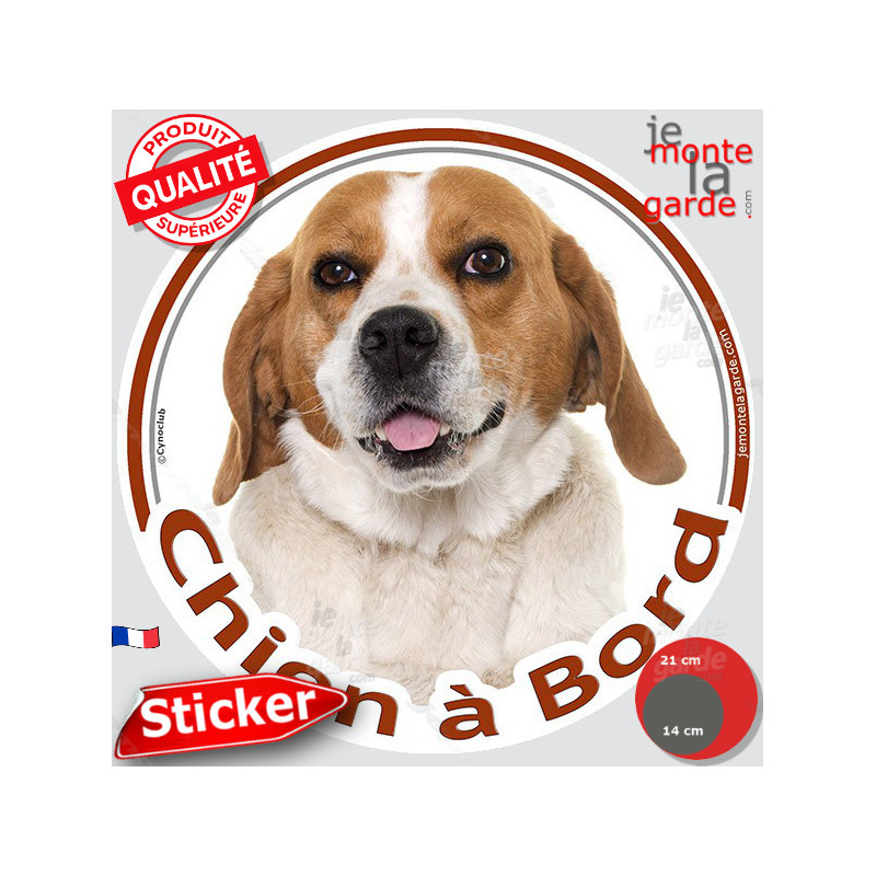 Beagle blanc et fauve Tête, sticker rond "Chien à Bord" Disque photo autocollant marron voiture résiste intempéries