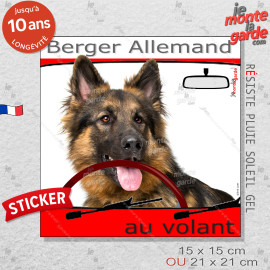 "Berger Allemand au volant" panneau autocollant humoristique voiture photo sticker BA poils longs noir et feu chien à bord