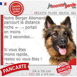 Berger Allemand noir et feu à poils longs, plaque humour "parcourt la distance Niche-Portail en moins de 3 secondes" photo, rési