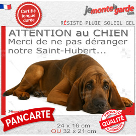 Plaque portail humour extérieure "Attention au Chien, Merci de ne pas déranger notre Saint-Hubert" Photo drôle fatigué feignant