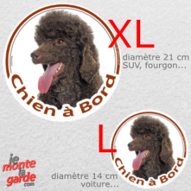 Caniche chocolat, sticker voiture rond photo "Chien à Bord" 2 Tailles