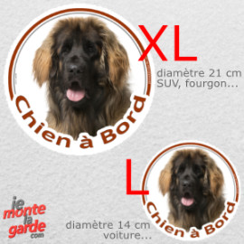 Leonberg fauve masque noir, sticker rond voiture photo "Chien à Bord" résiste pluie soleil gel, idée cadeau, 2 Tailles E
