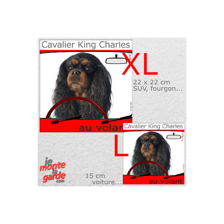 "Cavalier King Charles au volant" autocollant humour voiture 2 tailles D