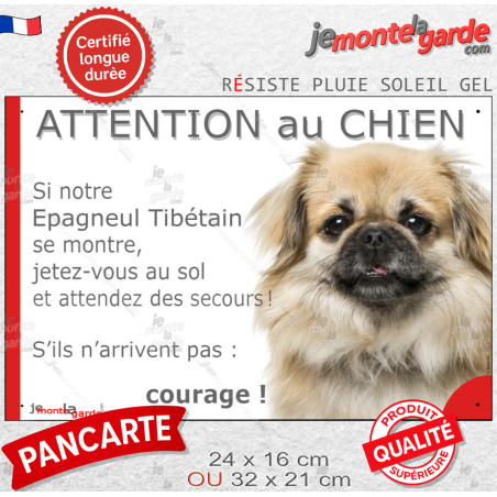 Epagneul Tibétain fauve, plaque portail humour "Attention au Chien, Jetez Vous au Sol, attendez secours, courage" photo résiste 