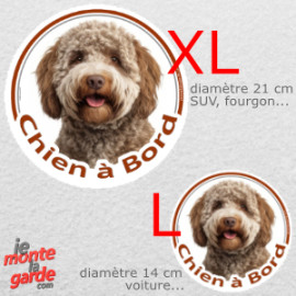 Lagotto Romagnolo, sticker voiture photo "Chien à Bord" 2 tailles D