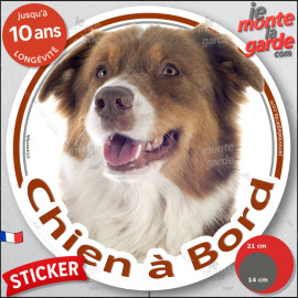 Berger Australien Tricolore Rouge Tête, sticker autocollant rond "Chien à Bord" Disque adhésif photo résiste intempéries