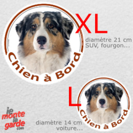Berger Australien Bleu Merle, sticker voiture rond photo "Chien à Bord" résiste pluie soleil gel, idée cadeau, 2 tailles E