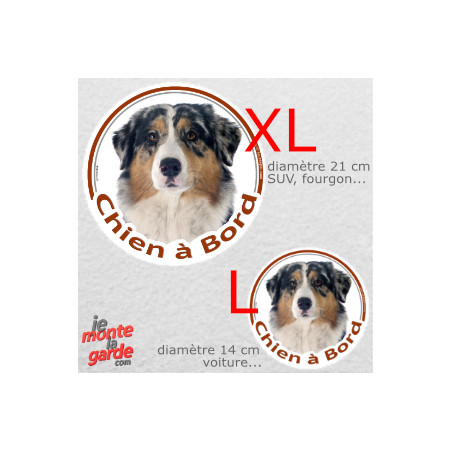 Berger Australien Bleu Merle, sticker voiture rond photo "Chien à Bord" résiste pluie soleil gel, idée cadeau, 2 tailles E