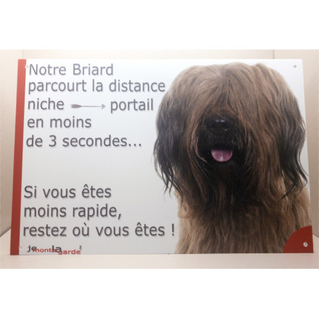Briard fauve, plaque humour "parcourt la distance Niche-Portail en moins de 3 secondes, rapide" 2 tailles D