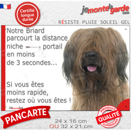 Briard fauve, plaque humour "parcourt distance Niche-Portail moins de 3 secondes, rapide" 2 tailles D - 1