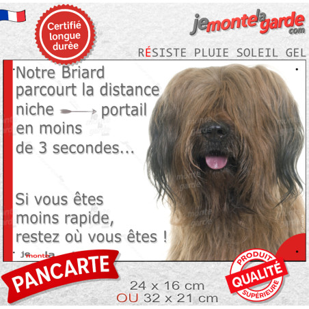 Briard fauve, plaque humour "parcourt distance Niche-Portail moins de 3 secondes, rapide" 2 tailles D - 1