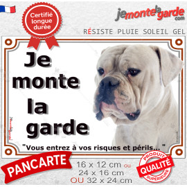Bouledogue Américain tout blanc, plaque portail "Je Monte la Garde, entrez à vos risques et périls" american bulldog photo