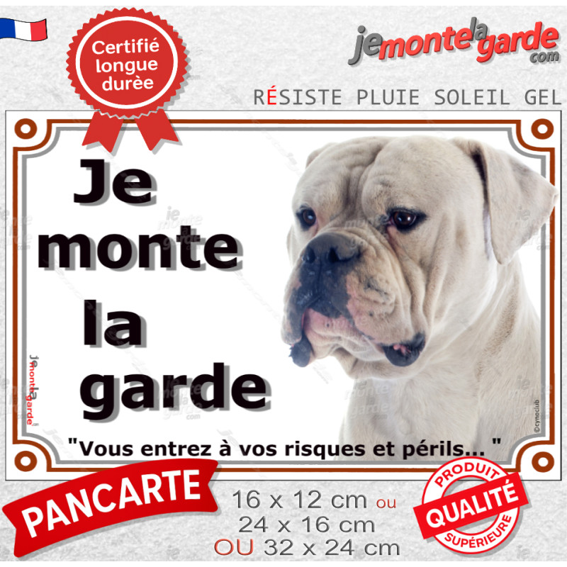 Bouledogue Américain tout blanc, plaque portail "Je Monte la Garde, entrez à vos risques et périls" american bulldog photo