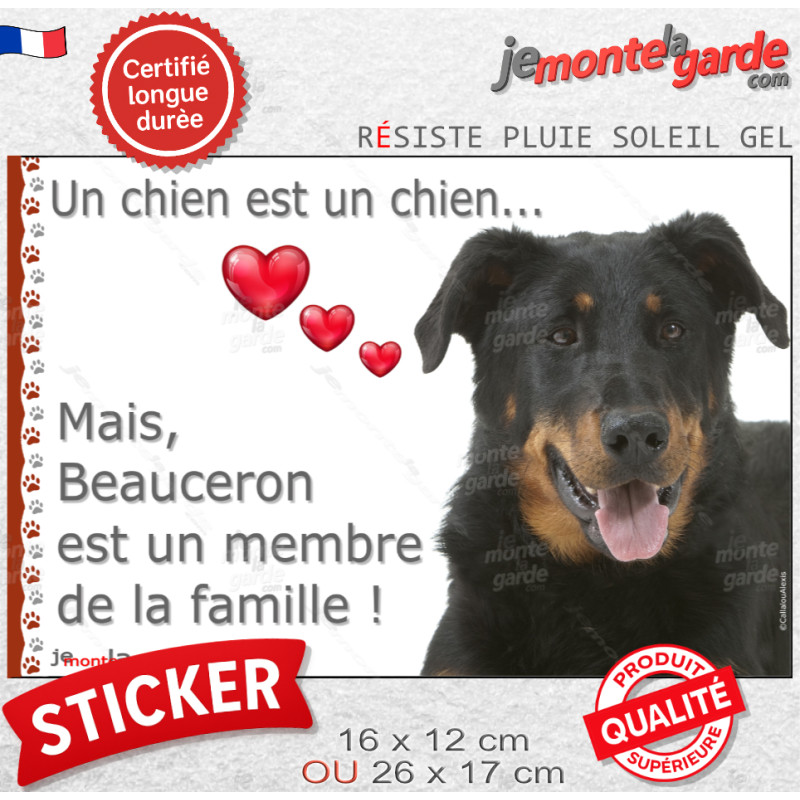 Beauceron noir et feu, sticker autocollant "Love" photo "un chien est un membre de la famille" coeur résiste intempéries