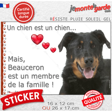 Beauceron, sticker autocollant photo "Love" intérieur ou Extérieur 2 tailles D