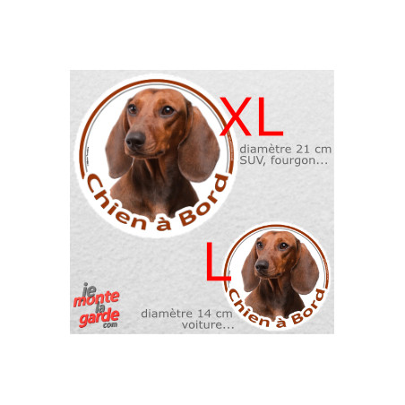 Teckel à poils ras, sticker voiture rond "Chien à Bord" 2 Tailles