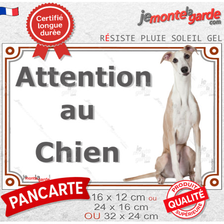 Lévrier Whippet fauve très clair et blanc Assis, plaque portail photo extérieure "Attention au Chien" résiste pluie soleil gel, 