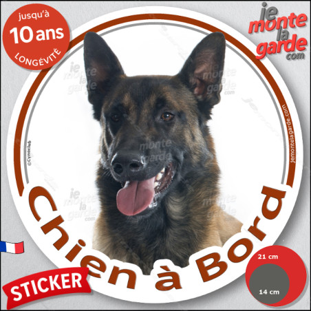 Berger Belge Malinois Fauve charbonné, masque noir, sticker autocollant rond "Chien à Bord" adhésif vitre voiture photo disque, 