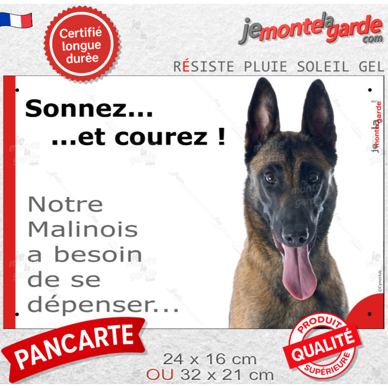 Pancarte portail Attention au Chien humour "Sonnez et courez, notre Malinois a besoin de se dépenser" Berger Belge photo