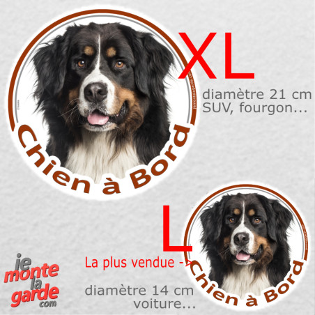Bouvier Bernois, sticker voiture rond photo "Chien à Bord" résiste pluie soleil gel, idée cadeau, 2 Tailles D