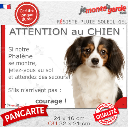 Epagneul Continental Nain Phalène, plaque portail humour photo "Attention au Chien, Jetez Vous au Sol, attendez secours, courage