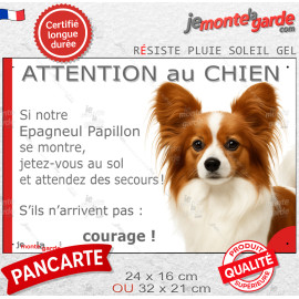 Epagneul Continental Nain Papillon, plaque portail humour "Attention au Chien, Jetez Vous au Sol, attendez secours, courage" pho
