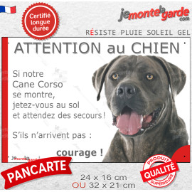 Cane Corso Italiano gris bleu, plaque portail photo humour "Attention au Chien, Jetez Vous au Sol et attendez des secours, coura