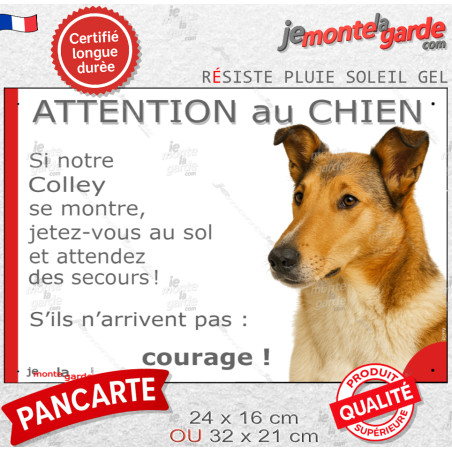 Colley fauve zibeline et blanc à poils courts, plaque portail humour photo "Attention au Chien, Jetez Vous au Sol, attendez seco