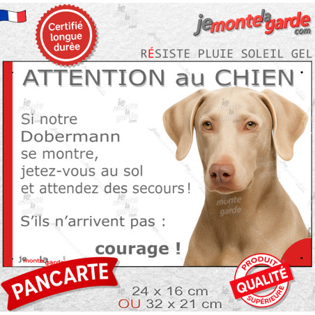 Dobermann Isabelle fauve dilué, Panneau portail humour photo "Attention au Chien, se montre, jetez-vous au sol et attendez secou