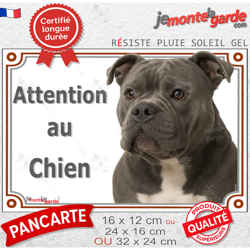 American Bully bleu gris Tête, plaque de portail avec photo "Attention au Chien" résiste pluie soleil gel, idée cadeau