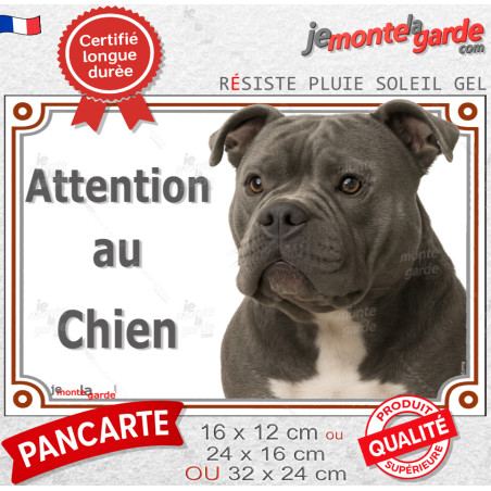American Bully gris bleu, plaque portail photo "Attention au Chien" résiste pluie soleil gel, idée cadeau, 3 tailles D