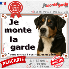 Grand Bouvier Suisse Tête, plaque portail photo "Je Monte la Garde, vous entrez à vos risques et périls" résiste pluie soleil ge