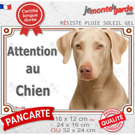 Dobermann Isabelle, fauve dilué Tête, Plaque portail photo "Attention au Chien" résiste pluie soleil gel, idée cadeau