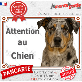 Beauceron Arlequin, plaque portail photo "Attention au Chien" Berger Beauce bleu merle, résiste pluie soleil gel, idée cadeau