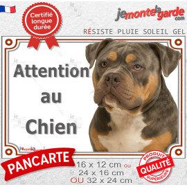American Bully lilac tricolore Tête, plaque de portail avec photo "Attention au Chien" marron chocolat et tan, résiste pluie sol